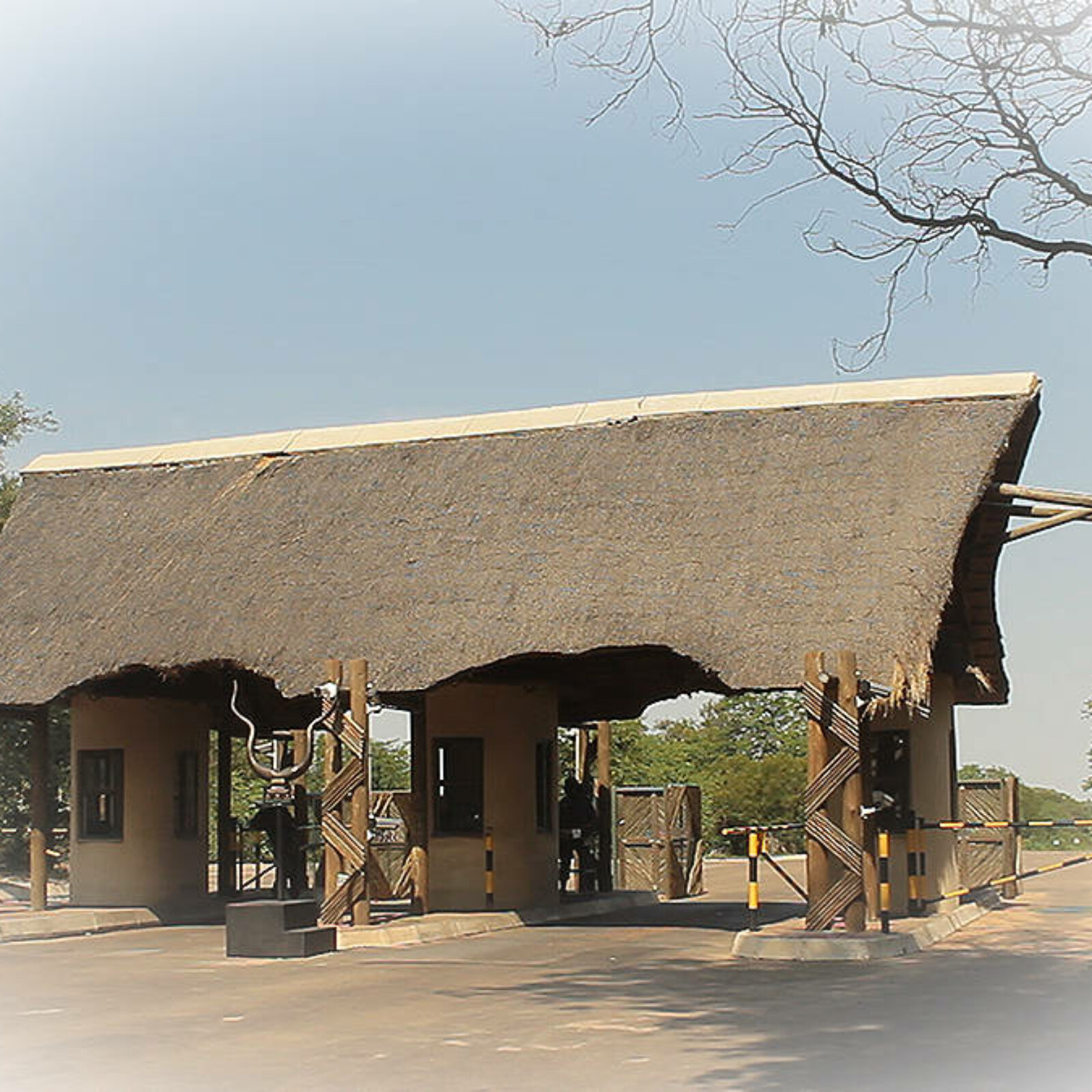 <?php echo pulse_output(); ?>