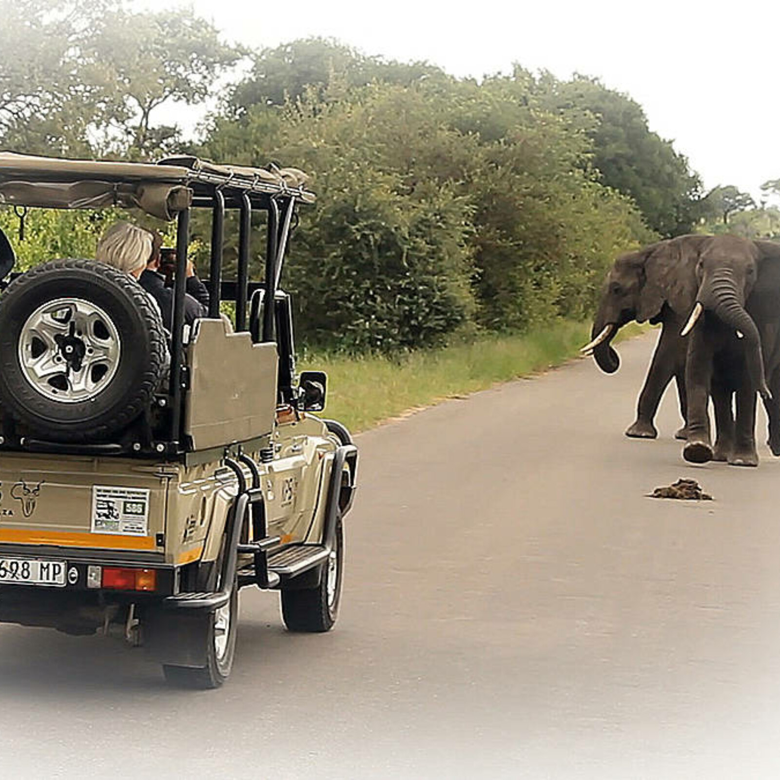 <?php echo pulse_output(); ?>